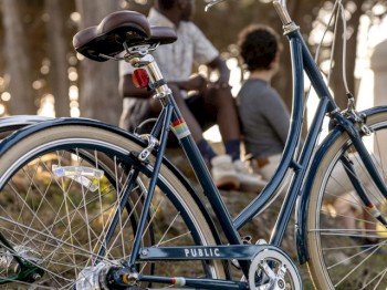 A blue bicycle is parked on grass with people sitting in the background in an outdoor setting with trees.