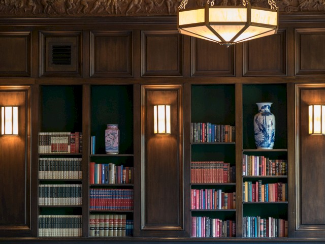 The image shows a well-furnished wooden bookshelf lined with books and a decorative vase, illuminated by wall-mounted lights and a ceiling fixture.