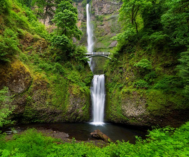 A tall waterfall cascades through lush greenery with a footbridge crossing the middle section, surrounded by a forest.