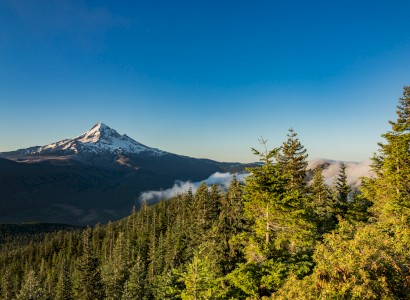 A snow-capped mountain under a clear blue sky, surrounded by lush evergreen trees and misty clouds in the distance.