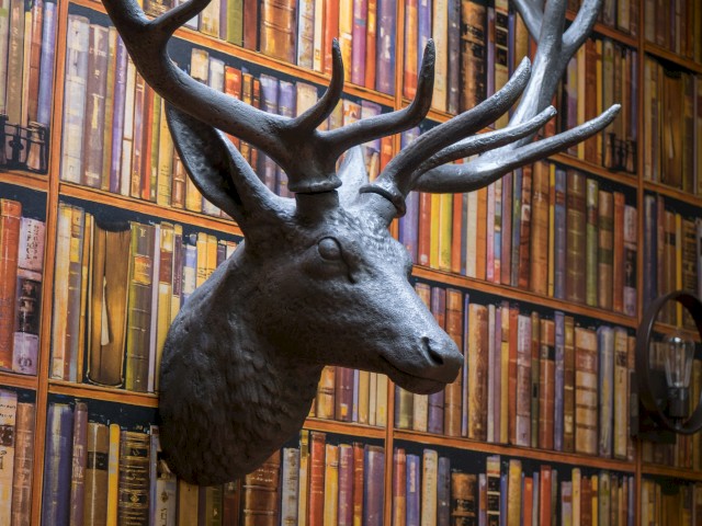 A deer head sculpture is mounted on a wall, which is decorated with a bookshelf-patterned wallpaper.