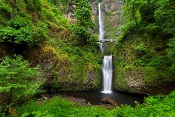 A tall waterfall cascades through lush greenery with a footbridge crossing the middle section, surrounded by a forest.