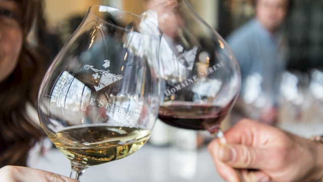 People are clinking glasses of white and red wine, with the logo 