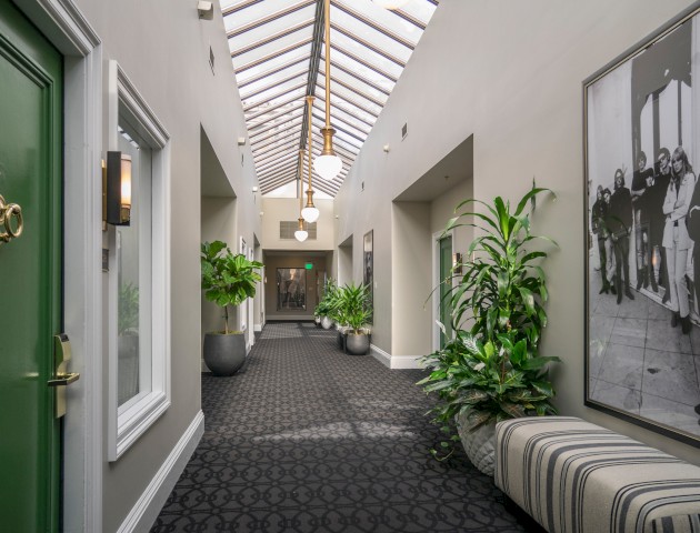 This is a bright, modern indoor corridor with potted plants, black-and-white artwork, patterned carpet, and a glass ceiling.