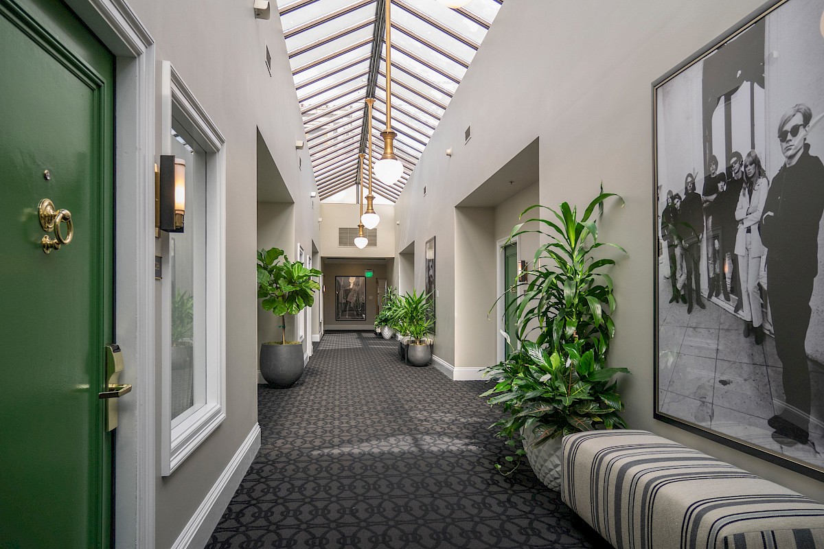 A well-lit hotel corridor with potted plants, a framed black-and-white photo, and a green door at the front.