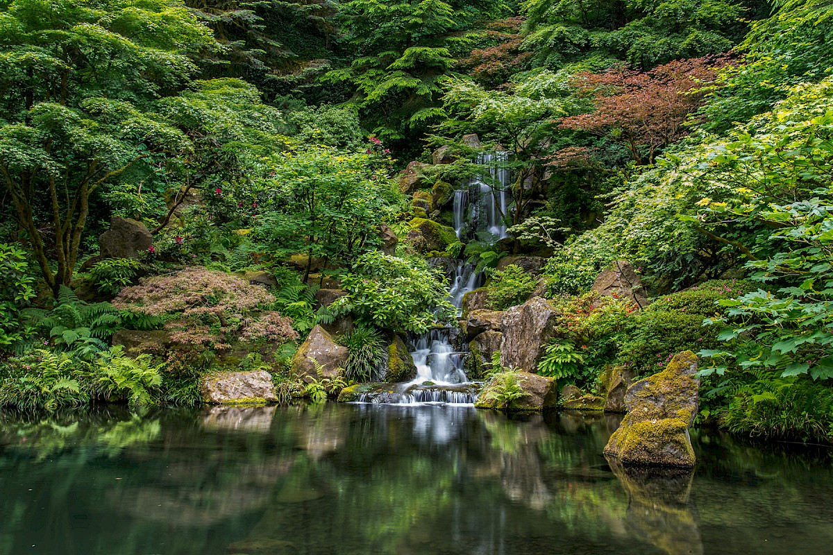 A lush, green garden with a small waterfall flowing into a reflective pond surrounded by various plants and trees.