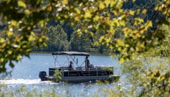 A pontoon boat is cruising on a lake surrounded by trees, viewed through leafy branches. The scene appears peaceful and scenic, with clear water.