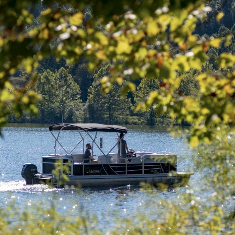 A pontoon boat glides on a lake, framed by green foliage with a backdrop of tree-covered hills. The water glistens under the sunlight, creating a serene scene.