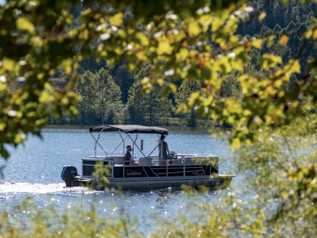 A boat glides on a lake, surrounded by lush greenery and trees, with people on board enjoying the serene waters, framed by leaves.