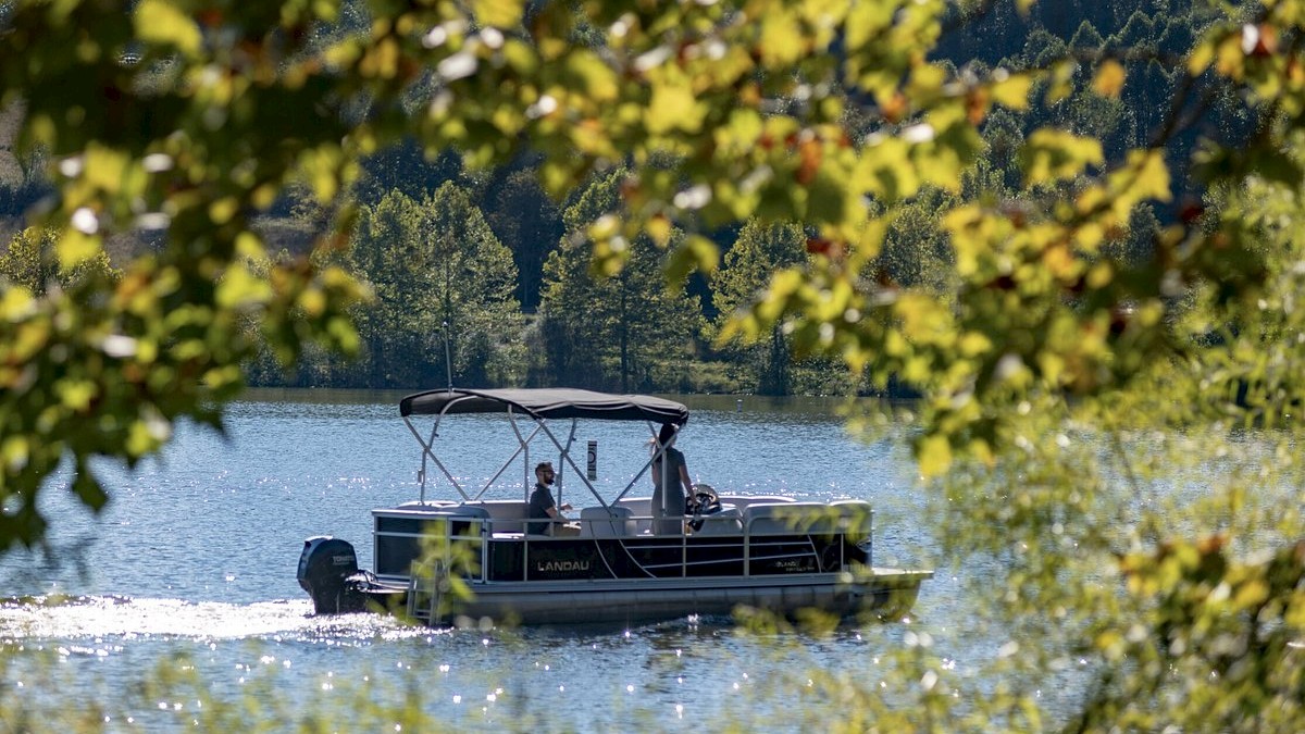 A pontoon boat with a canopy is on a lake, framed by green foliage in the foreground and a dense tree line in the background.