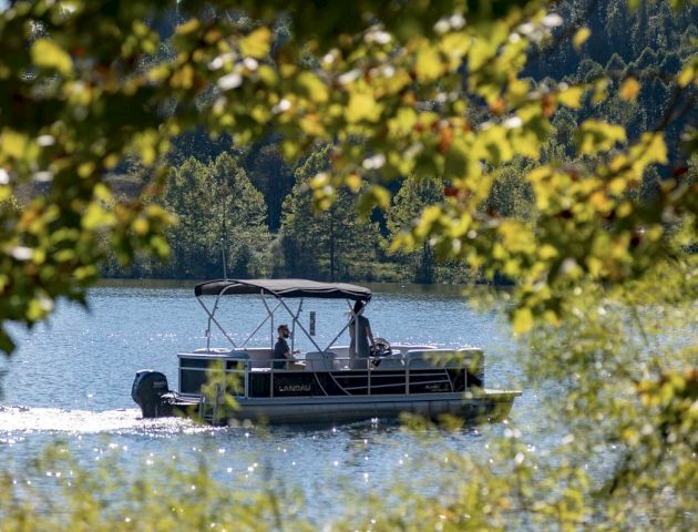 A small boat with a canopy is cruising on a lake surrounded by greenery and trees, viewed through branches in the foreground.