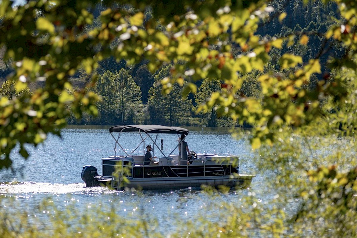 A boat with a canopy is on a lake, framed by green foliage in the foreground, with trees visible in the background under a bright sky.